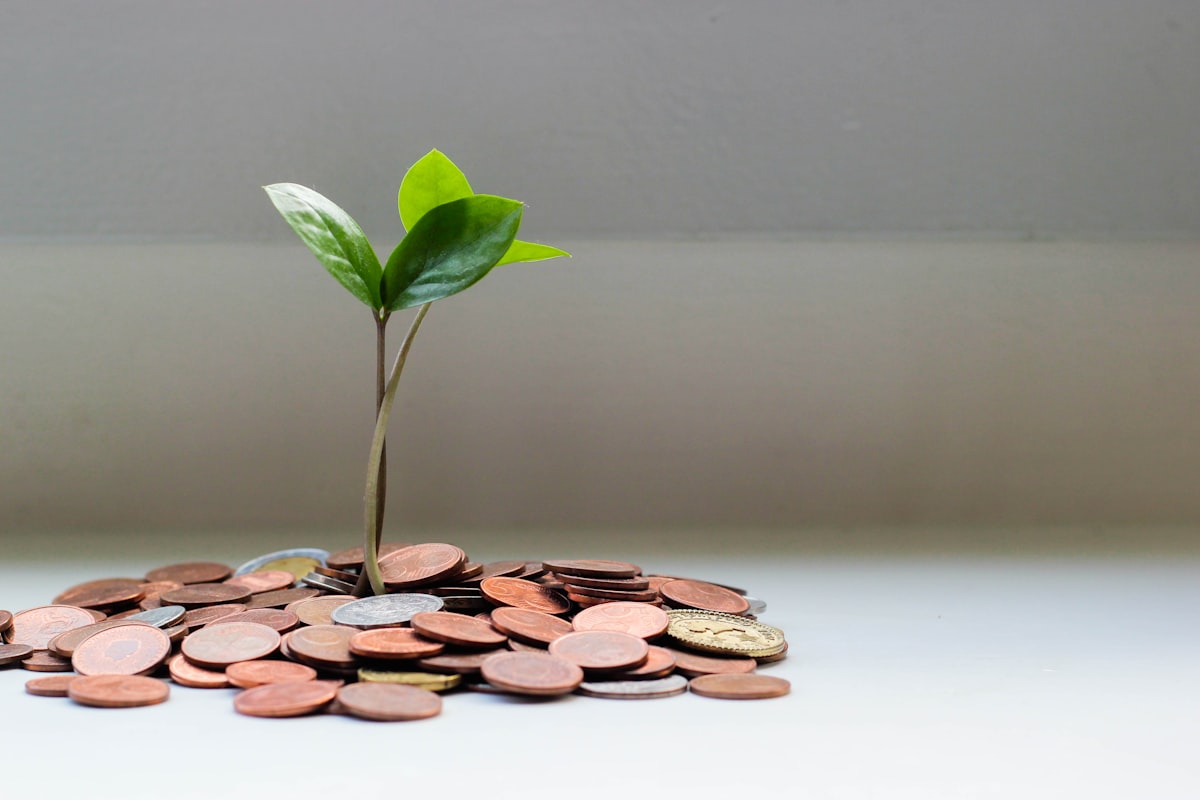 Pension Advice